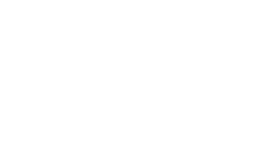 TTF Logo